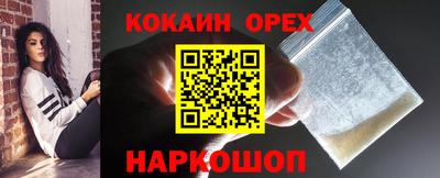 шишки Кингисепп