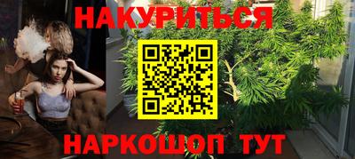 шишки Кингисепп