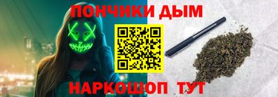 шишки Кингисепп