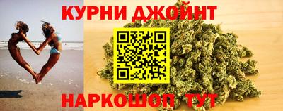 шишки Кингисепп