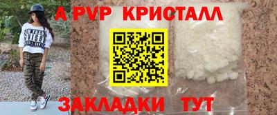 шишки Кингисепп